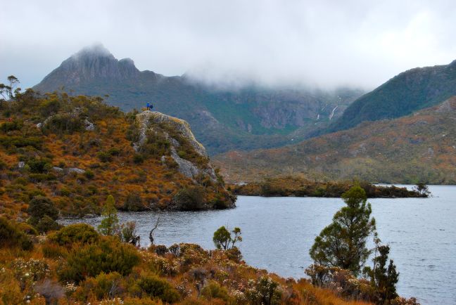 Tassie Explorer Afbeelding