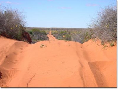 Outback Tracks